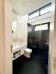 Village @ Pasir Panjang (D5), Condominium #474071051